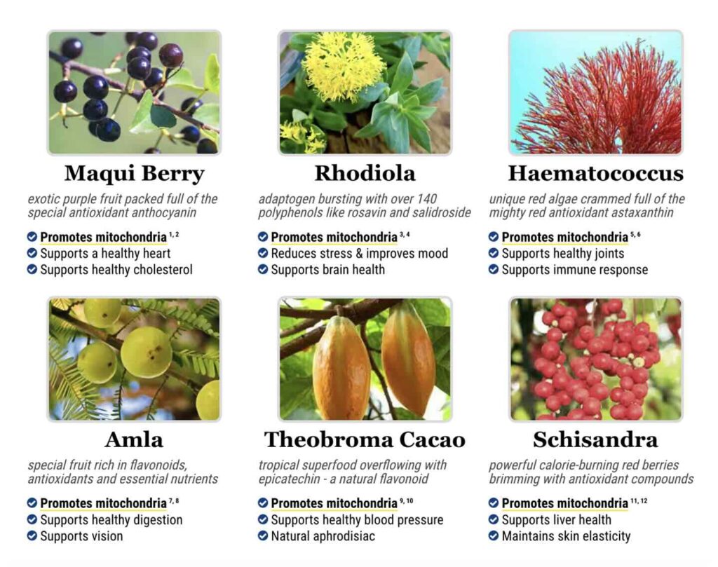 Screenshot 2024 12 12 at 7.58.43 AM